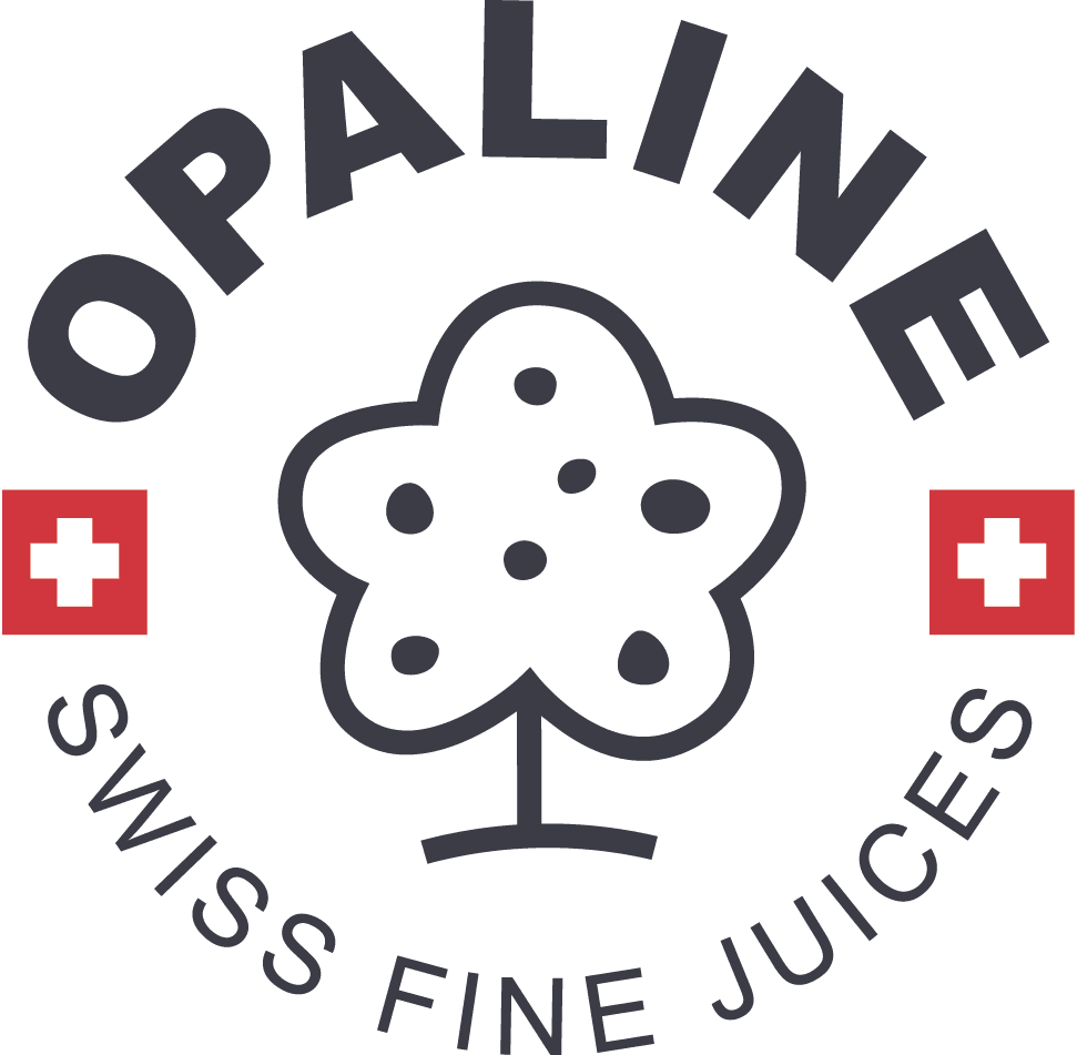 LOGO_Opaline_GREY_flagWhite