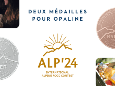 DE_Email footer_ALP24